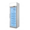 Energy Efficiency Commercial Display Freezer Upright Refrigerator For Shop