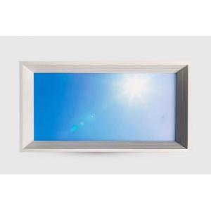 Indoor Ceiling Lamp Panel LED Blue Sky Light Square Artificial Skylight 60x120 for Roof Decorative Lighting