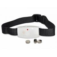China Effective Remote Pet Training Collar , Pet Pest Repeller With No Odour on sale