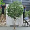 China Indoor Decorative Artificial Wooden Tree Large Articicial Ficus Tree Green Artificial Banyan Tree wholesale