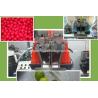 China High Efficient SS304 Paintball Making Machine with Automatic Medicine Supply for Large Scale Production wholesale