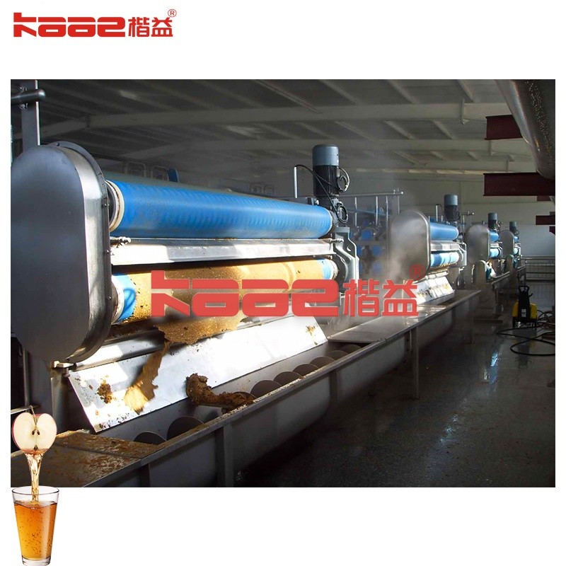 China Machine d'extraction de jus de grenade clé en main SUS304 wholesale