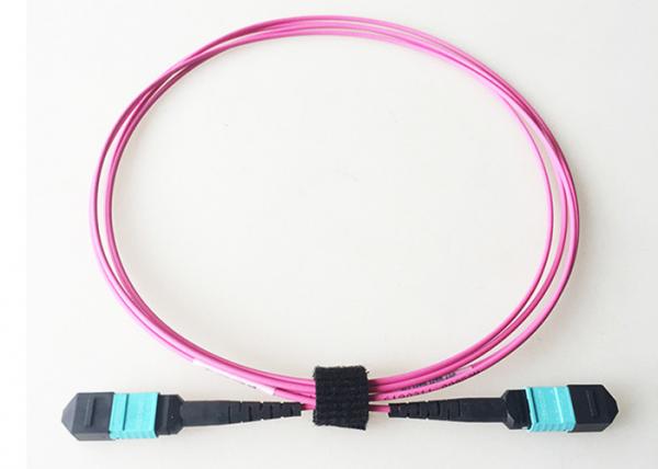 50um MPO MTP Optical Fiber Cable 40G OM4 Multimode Violet Color