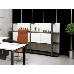 Lockable Office File Storage Cabinets Stationery Cupboard OEM