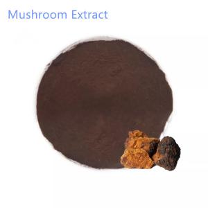 30% 60% Organic Chaga Mushroom Extract Health Food Use