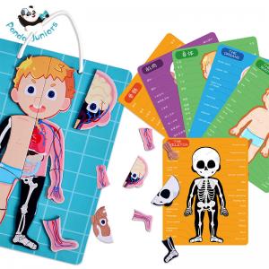 Educational Human Body Puzzle Anatomy Toys Logical Thinking Gifts For Preschoolers