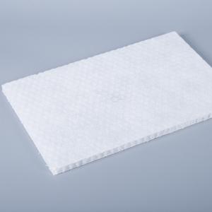 China 600x1200mm Honeycomb Products , Polypropylene Honeycomb Core With Non Woven Fabric supplier