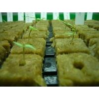 China Hydroponic Rockwool Cubes For Growing Plants on sale