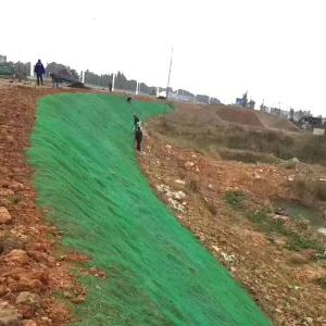 Easy Set Black Green Erosion Control Mat for 3D Geomat on Railway and Mountain Slopes