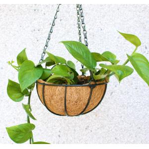 Garden Decoration Metal Hanging Planter Basket With Coco Coir Coco Liner