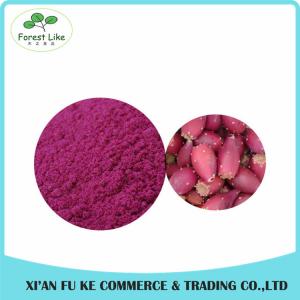 Natural Fruit Extract Nopal Cactus Fruit Dehydrated Powder for Food