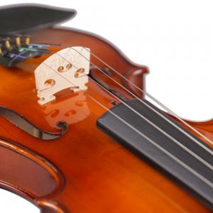 constansa Co., Ltd. is a professional violin manufacturer, specializing in music education equipment research and