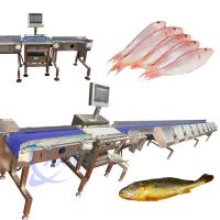 China High Precise Live Fish Sorting Machine Live Fish Sorting Equipment Tilapia Sizing on sale