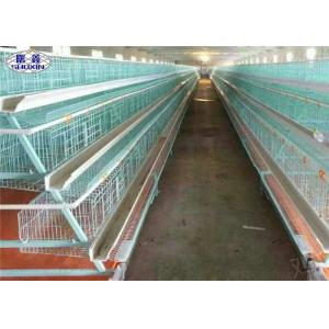 Full Automatic Layer Chicken Cage , Commercial Chicken Cages In Philippines