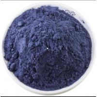ISO9001 Halal Kosher Nutritional Food Additives Light Blue Purple Butterfly Pea Powder