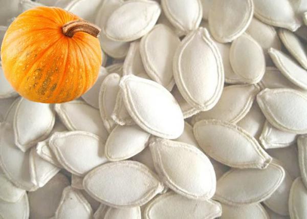 Big Size Roasted Seeds Pumpkin Seed 13% Moisture Content Natural White Color