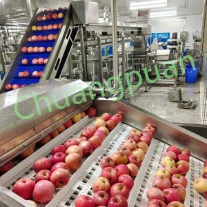 China Cloudy Apple Juice Processing Equipment With PLC Control wholesale