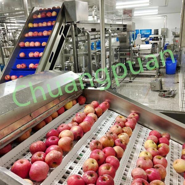 Cloudy Apple Juice Processing Equipment With PLC Control