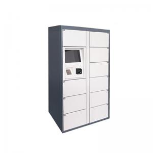 China Storage Parcel Delivery Lockers for School Community with Touch Screen and API Interfaces supplier