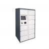 Storage Parcel Delivery Lockers for School Community with Touch Screen and API