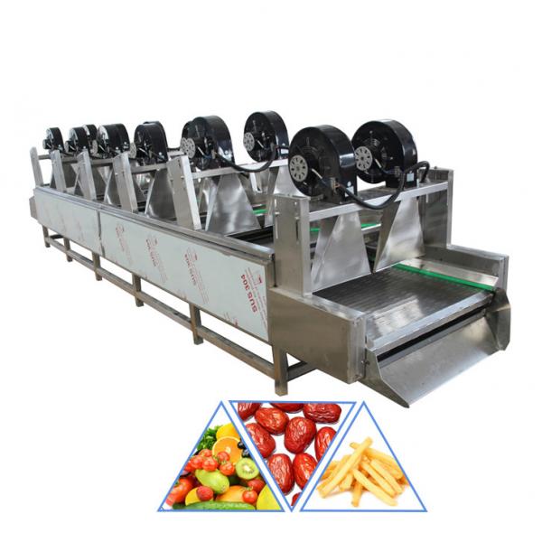 SUS304 Industrial French Fries Air Drying Dewatering Machine fruit washing dryer