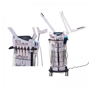 800W 9 In 1 Multifunctional Facial Care Equipment With LED Magnifying Lamp