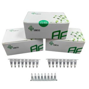 China 20mins High Sensitivity Isothermal DNA Amplification Kit For Accurate Detection wholesale
