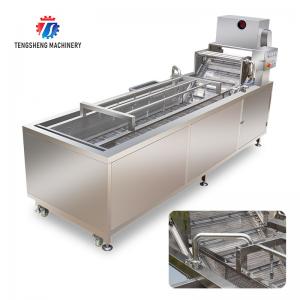 240KG Fruit and vegetable ozone cleaning machine cleaning equipment ultrasonic bubble spray washing machine