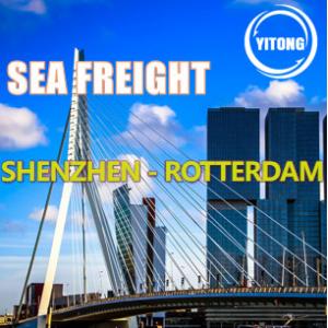 China Shenzhen China To Rotterdam Netherlands Sea Freight Logistics FOB DDU Trade Term supplier