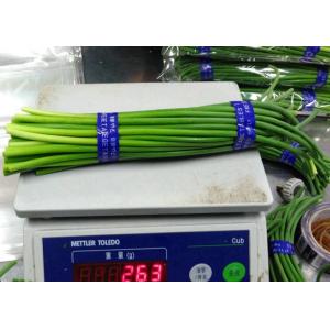 China New Crop garlic growing green stems supplier
