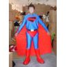 China adult handmade popular Superman mascot costume with bright colors wholesale