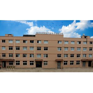 Ruian Ispeed Automtoive Electronics Co.,Ltd