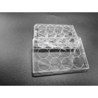 China Tissue Culture Treatment 12 Well Plate Standard Packing Cell Culture Consumables on sale