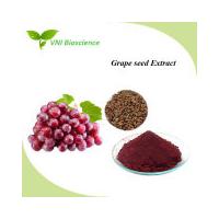 China Natural Plant Extracts Proanthocyanidins 95-98% OPC Grape Seed Extract on sale