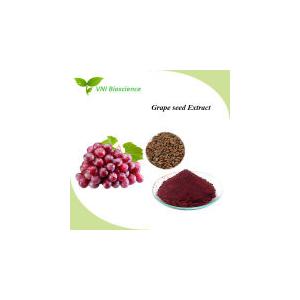 Natural Plant Extracts Proanthocyanidins 95-98% OPC Grape Seed Extract