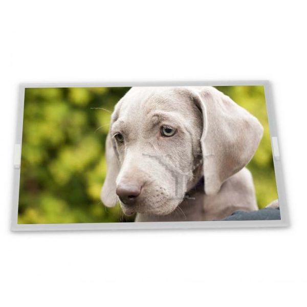 High Quality LP156WF6-SPP1 G Series 15.6-Inch LCD Modules Selected for Quality Assurance in Stock with Quality Assurance