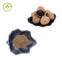 China Black Garlic Extract Powder Polyphenols 3% Hot Sale Wholesale Black Garlic Powder on sale