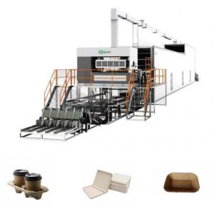 Paper Fruit Tray Making Machine Thermoforming Egg Tray Production Machine