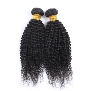 Natural Color Kinky Curl Original Brazilian Human Hair Wet and Wavy Weave