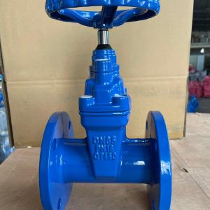 OEM Support CI/DI/WCB/SS Lockable Forged Gate Valve with Customized Design