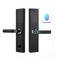 China Security Biometric Smart Fingerprint Door Lock Aluminum Alloy For Front Door on sale