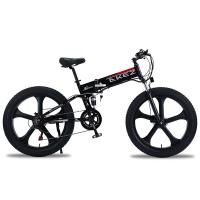 Magnesium Alloy Lithium Battery Electric Bike , 48V 500W Electric Bicycle