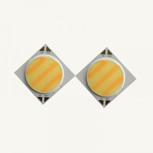 1919 Bi-Color COB LED Chip High CRI 90 7W+7W 300mA With Wide Viewing Angle