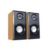 Hi-Fi Active Bookshelf Speaker with 4