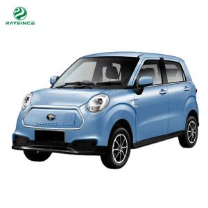 China New Energy Electric Good Quality China Cars For Adults To Ride Electric supplier