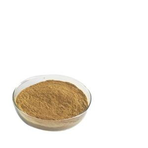 Artificial 18% Banaba Leaf Extract Corosolic Acid Food Grade
