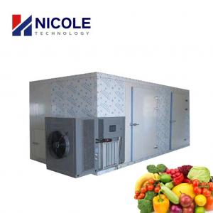 Commercial Fruit Vegetables Hot Air Drying Machine With Heat Pump