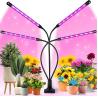 China 5730SMD Red Blue LED Growth Lamp With Timer Adjustable Gooseneck wholesale