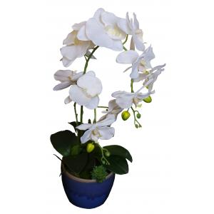 China High Quality Potted Silk Orchids wholesale