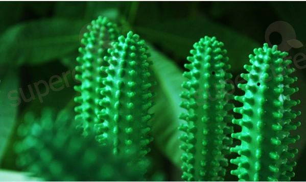 Stylo vert-foncé de cactus avec le matériel de silicium